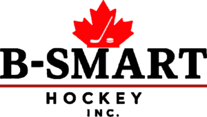 b smart main logo no bg