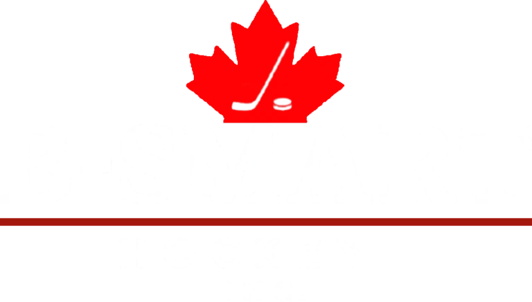 b smart main logo white no bg
